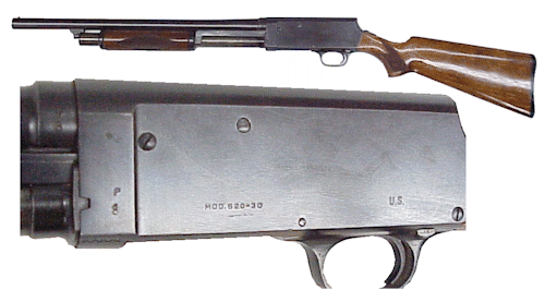 Stevens Riot Gun 